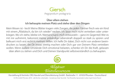 Blütenessenz Giersch - Über allem stehen